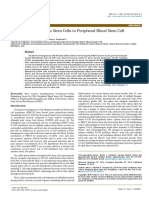 Stem Cell: The Spleen Contributes Stem Cells To Peripheral Blood Stem Cell Transplants