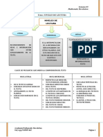 Niveles de Lectura Con Ejercicios