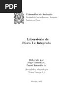 Lab Fisica I PDF