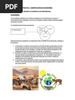 Práctica 1. Identificación de Ecosistemas Objetivo: Identificar y Describir Un Ecosistema y Sus Interrelaciones. Generalidades