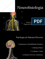 Sensibilidade Somática