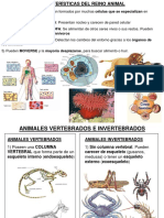 Animales Vertebrados