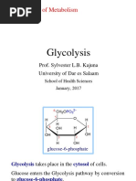 Glycolysis: Biochemistry of Metabolism