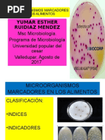 Microorganismos Indicadores