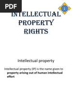 Intellectual Property Rights