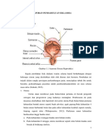 LP Eklamsia