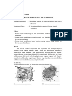 LKS Sel Tumbuhan Dan Hewan