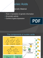 Nucleic Acids: DNA Is The Genetic Material RNA