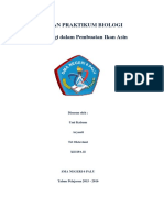 LAPORAN PRAKTIKUM BIOLOGI (Bioteknologi Pembuatan Ikan Asin)