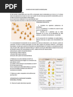 Examen Noveno Genetica Mendeliana