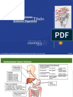 Clase N - 9 - INFECCIONES SISTEMA DIGESTIVO