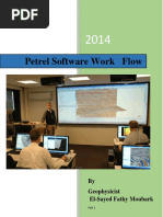 Petrel Software Work Flow Part 1 PDF