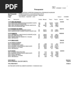 Presupuesto Modelo Bellavista