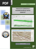 Informe de Geofisica UNDAC