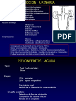 Infeccion Urinaria