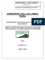 Informe Ssoma Octubre