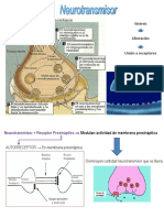 Neurotransmisores Uam Est 2017-2