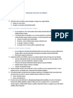 Sistemul Arterial Carotidian