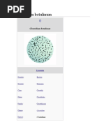 Clostridium Botulinum