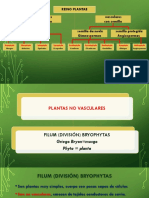 Clasificación de Las Plantas. Vicente Sarango