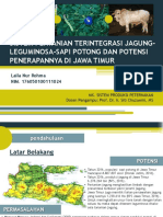 Sistem Pertanian Terintegrasi Jagung-Leguminosa-Sapi Potong Dan Potensi Penerapannya