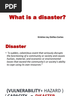 What Is A Disaster?: Kristine Joy Osillos-Cortes