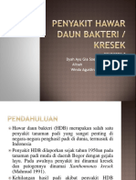 Penyakit Hawar Daun Bakteri PPT Pestisida