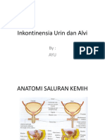 Inkontinensia Urin Dan Alvi