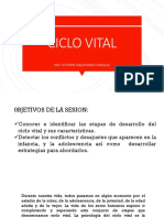 Ciclo Vital