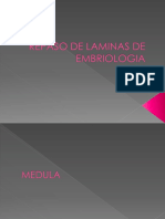 Repaso de Laminas de Embriologia - Corregido