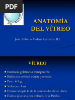 Anatomía Del Vítreo