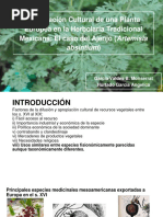 Apropiación Cultural de Una Planta Europea en La Herbolaria Tradicional Mexicana - El Caso Del Ajenjo (Artemisia Absintium)