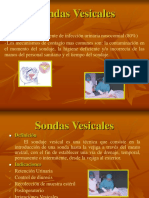 Sonda Vesical