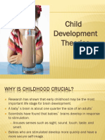 Child Development Theorists