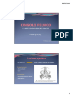 Cingolo Pelvico