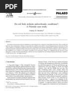 Do Red Beds Indicate Paleoclimatic Conditions?: A Permian Case Study