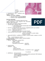 Timusul: Diagnostic Pozitiv