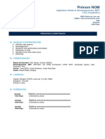 Template CV Sintegra