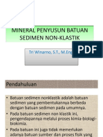 Mineral Penyusun Batuan Sedimen Non Klastik