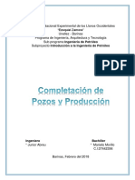 Completacion de Pozos