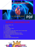 Anatomia Cardiovascular - Nutricion Unfv