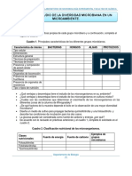 PRACTICA Diversidad Microbiana 1