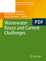 Wastewater Reuse and Current Challenges PDF