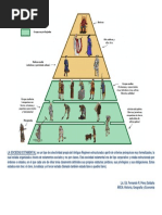 La Sociedad Estamental