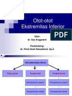 Otot-Otot Ekstremitas Inferior: Oleh: Dr. Dya Anggraeni