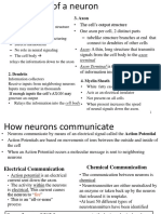 The Neuron