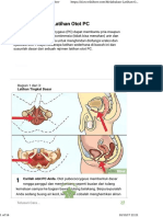 Melakukan Latihan Otot PC