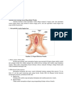 LI MENARCHE (Fisiologi Mens)