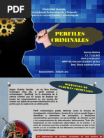 Perfiles Criminales