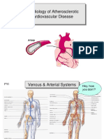 The Biology of Atherosclerotic Cardiovascular Disease